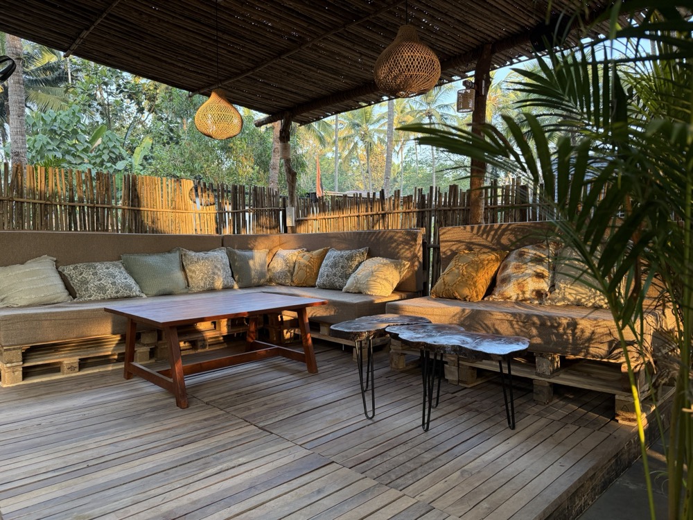 Delicious vegan dish at Roots & Bloom Café